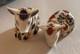 Two Royal Crown Derby Pigs With Stoppers, Ornaments, Exc Condition